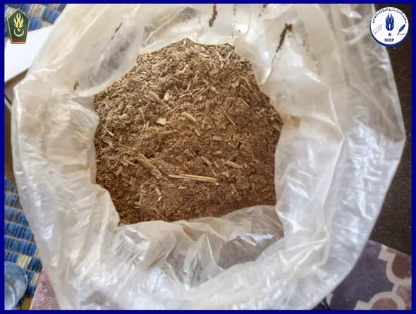 الدرك الوطني: ضبط كمية من الحشيش على محور نواذيبو–انواكشوط