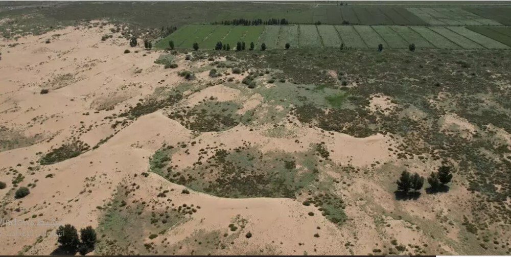 الصين تستخدم الطحالب الدقيقة لمكافحة التصحر