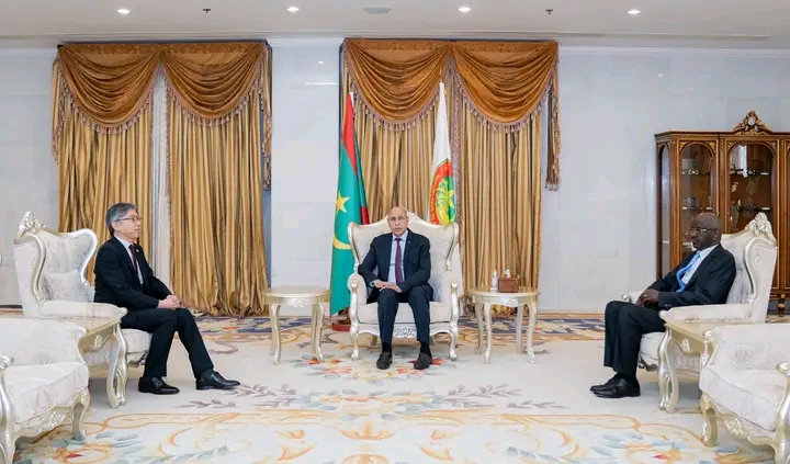 رئيس الجمهورية يتسلم أوراق اعتماد السفير الياباني