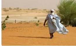 الأرصاد الجوية: رياح شمالية .. وآلاك الأكثر حرارة