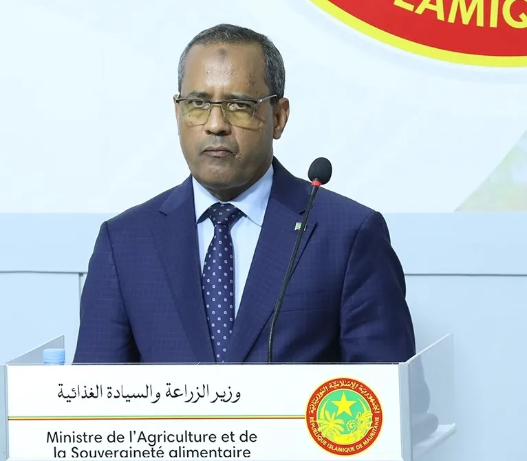 وزير الزراعة: نسبة ارتفاع إنتاج الخضروات بلغت ‎%‎446
