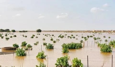 تساقطات مطرية جديدة علي بعض مناطق الوطن