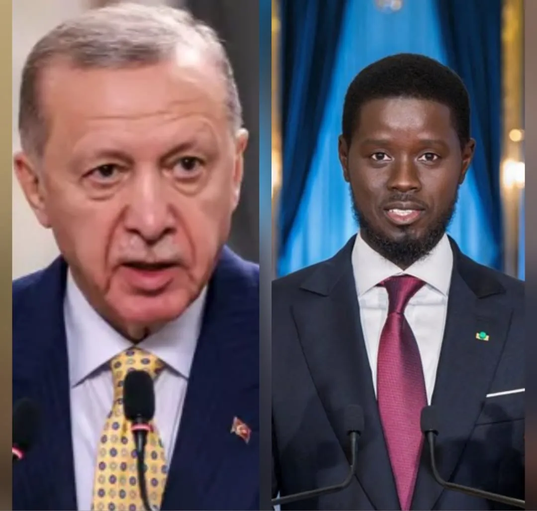 أردوغان يهاتف رئيس السنغال ويؤكد تسريع التعاون في الصناعات الدفاعية
