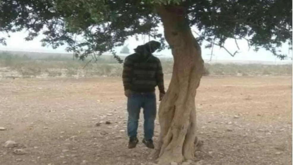 العثور على جثة شاب معلقة بشجرة بين الزويرات وإفديرك