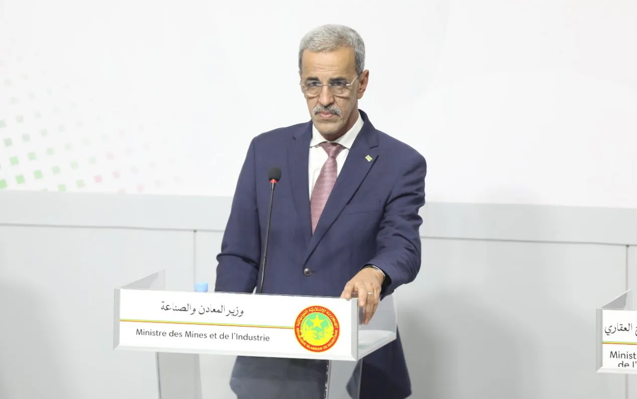 وزير المعادن: من عبّر عن رأيه في السياسة أو الدستور فذلك حقه