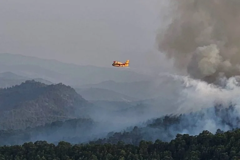 المغرب يواصل احتواء حرائق الغابات..