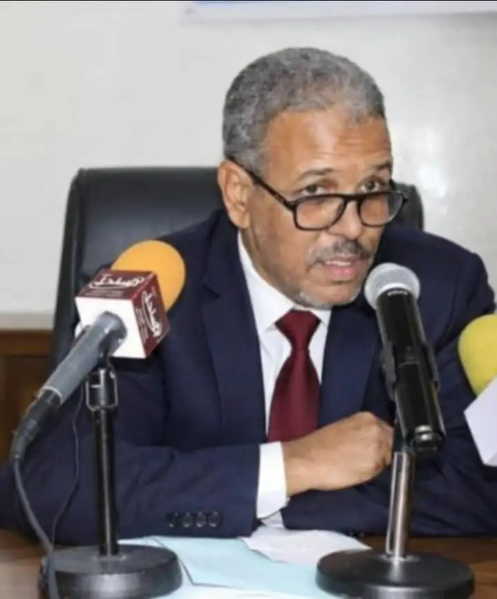 المأمورية الثالثة.. نقاش سابق لأوانه أم اختبار للدستور؟أحمد محمد حماد