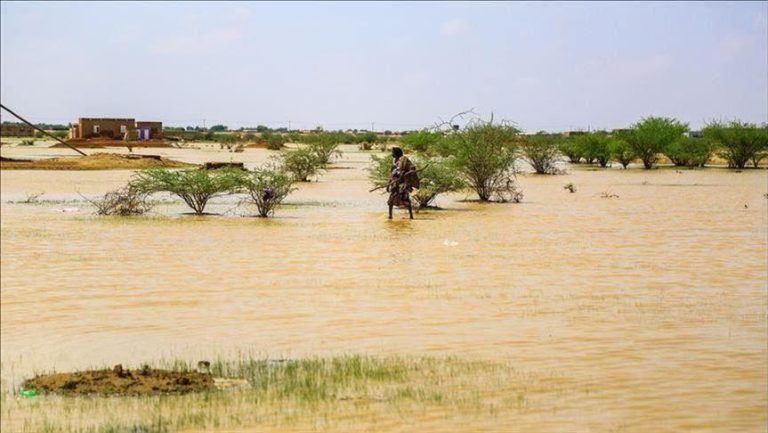 الحوض الشرقي: أمطار تصل إلى 78 مم في مناطق متفرقة من الولاية