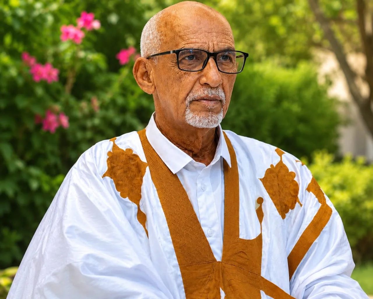 قراءة متأنية في مقال الدكتور إزيد بيه ولد محمد محمود: «خبت في نفسي جذوة الغيرة» / سيدي محمد ولد أخليفة
