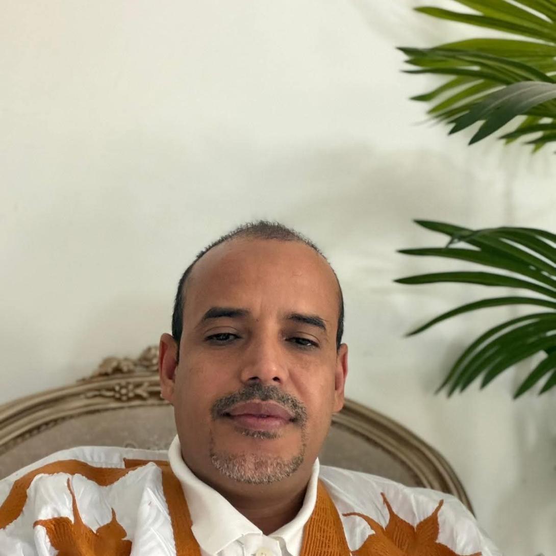 من الحزب الواحد إلى أغلبية حاكمة../ محمد الأمين المرتجي الوافي