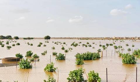 تساقطات مطرية على مناطق من البلاد خلال الـ24 ساعة الماضية