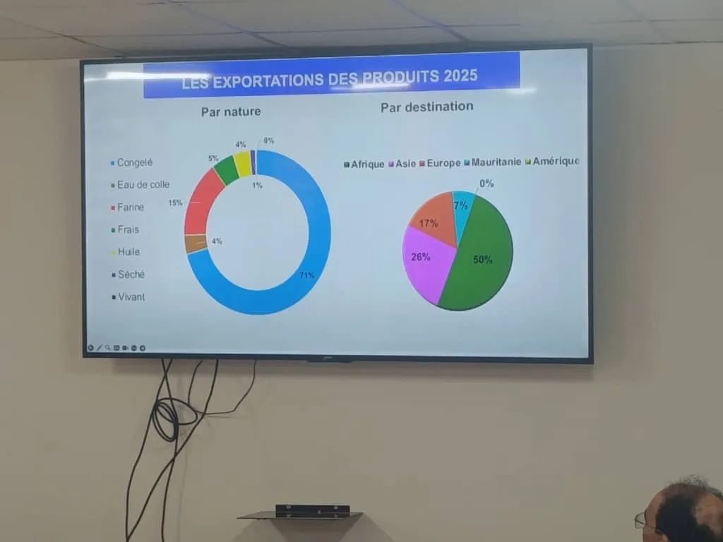 15% من صادرات الأسماك بموريتانيا 2025 كانت من دقيق السمك